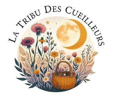 La Tribu des Cueilleurs — Séverine, ateliers plantes sauvages
et herboristerie en Périgord Noir, partenaire de L'Abri de la Lanterne